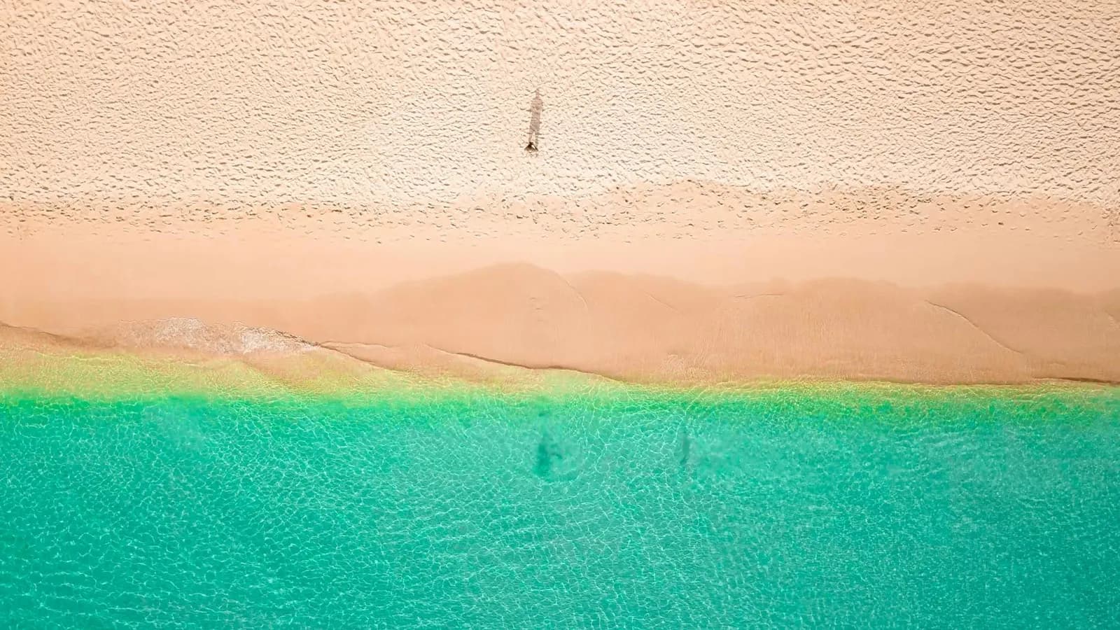 Uberørt strand på Big Saint James
